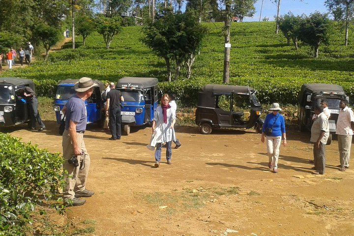 Tuk Tuk Safari